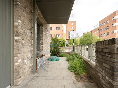 Picture 22